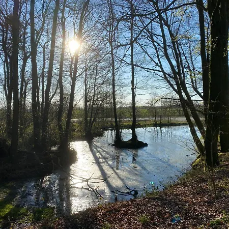 Nyopfort Luksusvaerelse I Naturskonne Og Rolige Omgivelser Branderup Exterior photo